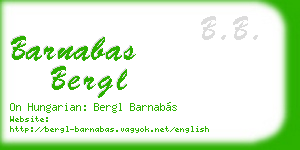 barnabas bergl business card